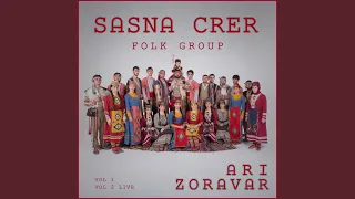 Ari Zoravar / Erg Zoravar Andranikin