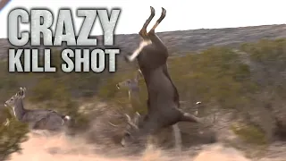 Craziest Crossbow Deer Hunt Ever