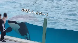 子供とお話しするシャチ　鴨川シーワールド　ルーナ