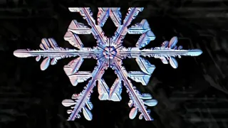 Футаж Снежинки под микроскопом Footage Snowflakes under a microscope 000794