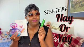 ScentBird Perfume subscription￼ / Is It Worth it? LIVE REVIEW