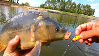 Крутяк рыбалка! Ловля карпа на поплавок Chpok Fish