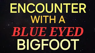 ENCOUNTER WITH A BLUE EYED BIGFOOT