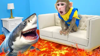 KiKi Monkey meet shark with The Floor is Lava and go shopping Colorful M&M Candy | KUDO ANIMAL KIKI