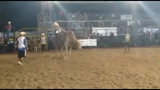 Douglas Henrique de Bragança Paulista Rodeio de Vargem SP 2017 Montaria em touros