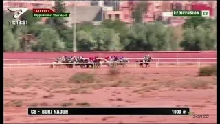 Live Hippodrome « Marrakech » | Courses du « 09/10/2018 »