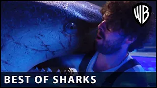 ICONIC Shark Attacks: Deep Blue Sea 3 | Warner Bros. UK
