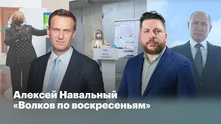 Алексей Навальный у Волкова: выборы и невыборы, Светлана Прокопьева, Беларусь и «Умное голосование»