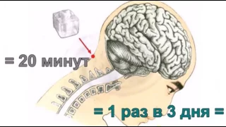 Омоложение Организма Всего Одним Движением  Точка Фэн Фу