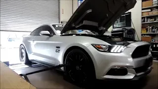 2017 Mustang GT Ford Racing Power Pack Stage 3 Dyno
