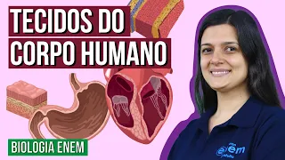 TECIDOS DO CORPO HUMANO | Resumo de Biologia Enem. Professora Cláudia Aguiar