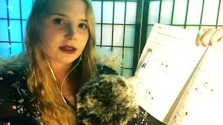 ASMR 영어 | 한국어 수업 롤플