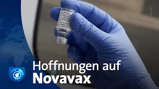 Novavax-Impfstoff: Hoffnungsträger gegen die Impflücke