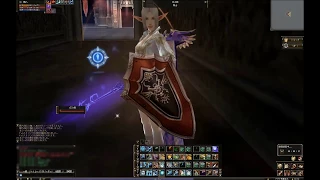 Lineage2 Classic JP Olympiad Mystic Muse vs 80Dark Avenger