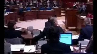 PROPOSTES PARLAMENT.flv