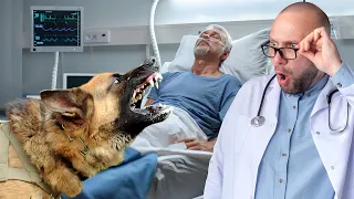 Dog Came To Say Goodbye To Its Owner On Life Support. It Notices Something ODD & Stops The Doctor!