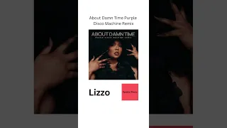 About Damn Time Purple Disco Machine Remix (Lizzo)