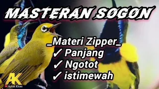 MASTERAN SOGOKONTONG/SOGON MATERI ZIPPER PANJANG.#masteranburung