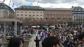 Sakura festival Stockholm 2018