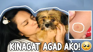 MAGASTOS BA TALAGA MAG-ALAGA NG SHIH TZU ? | WORTH IT PERO NAKAGAT AKO MAGKANO GASTOS SA INJECTION ?