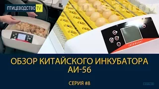 Птицеводство ТВ #8: Обзор китайского инкубатора для яиц АИ-56