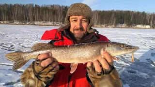 На Лоймине. В поисках окуня на притоке Горьковского водохранилища