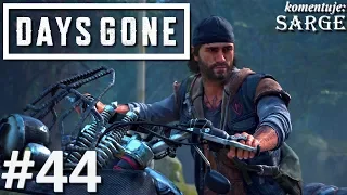 Zagrajmy w Days Gone PL odc. 44 - Wysadzenie tamy