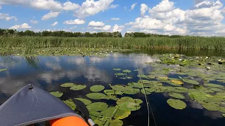 За краснопёркой | На байдарке с прозрачным дном