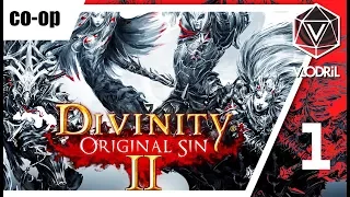 Sinners - Let's Play Divinity Original Sin 2 Part 1 - Co-op - Indie Isometric RPG - Lohse / Fane