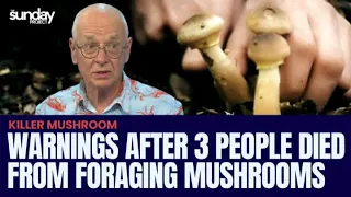 Warnings After 3 People Died From Foraging Mushrooms