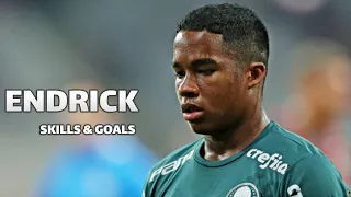 Endrick 2023 - The Generational Talent | Magic Skills & Goals | HD