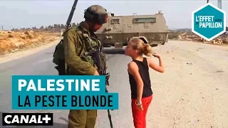 Palestine : La peste blonde - L’Effet Papillon