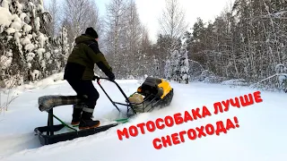 Мощный мотобуксировщик - пробили путик в тайге  Шалаш в тайге