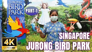 Jurong Bird Park 🦩🦢🦆 Fly into Asia's Largest Bird Paradise with 3500 Colorful Birds🦚🦩🦜4K