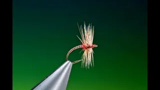 Fly Tying a Pay Day Midge with Barry Ord Clarke