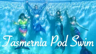 Mermaids swimming in crystal clear pool (Tasmernia Pod Swim)