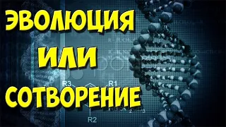 Семинар 3: Динозавры и Библия