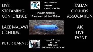 PETER BARNES* Experiences from Lake Malawi*CICHLIDS ENCOUNTER* AIC EVENT LIVE*African Wild Cichlids*