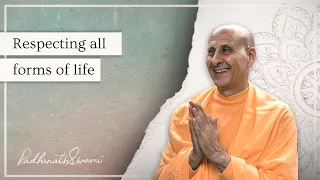 Respecting All Forms of Life | His Holiness Radhanath Swami