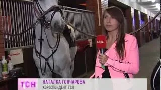 Найдорожчих коней України вивели на нічні змагання