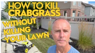 How to Kill Crabgrass Without Killing Your Lawn
