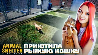 КОШКА СОСИ нашел НОВЫЙ ДОМ ► Animal Shelter #3