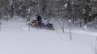 Ski-doo Scandic WT 550 f 2012г (REV-XU)   Пилит снег