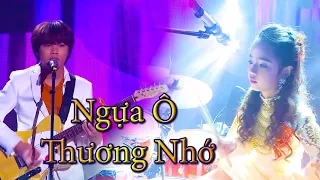 TAY TRỐNG HOÀNG THIÊN NGA - GUITAR THIÊN KHÔI SONG CA CỰC BỐC NGỰA Ô THƯƠNG NHỚ