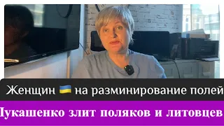 Лукашенко злит поляков и литовцев/ женщины на разминирование полей.