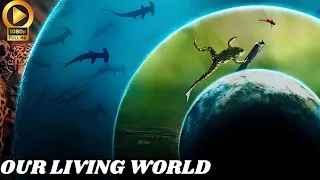 Our Living World FHD | Cate Blanchett | Trailer Details  | Netflix Everything We Know!!