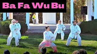 Ba Fa Wu Bu Tai Chi Form Demonstration