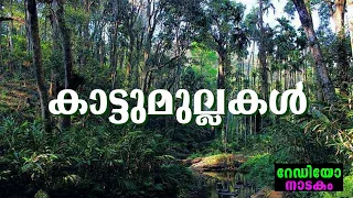 RADIO DRAMA | KATTUMULLAKAL : റേഡിയോ നാടകം | കട്ടുമുല്ലകൾ