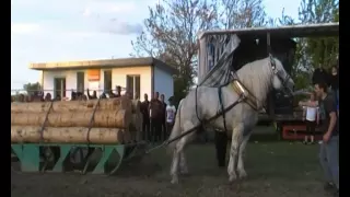 Sirakov tv- kONNI SASTEZANIA -RADILOVO