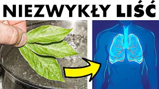 Zacznij tak stosować liść laurowy 🌿 Działanie zdrowotne Cię zaskoczy